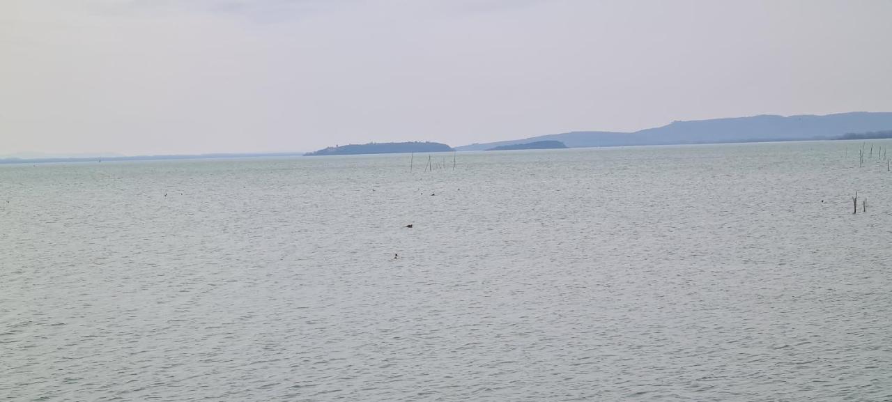 Appartamento Lago Trasimeno - Torricella Pg ภายนอก รูปภาพ